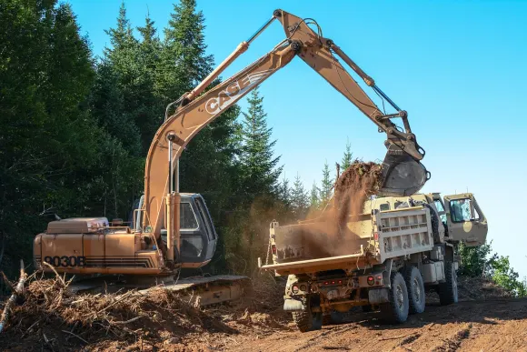 Casino Golden Crown Podrška